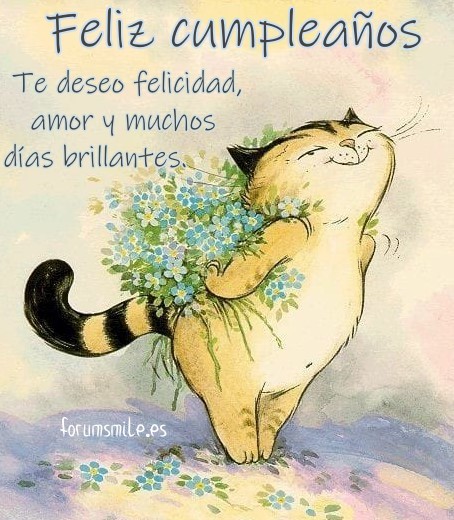 ¡Lindo gato te desea amor y un feliz cumpleaños!